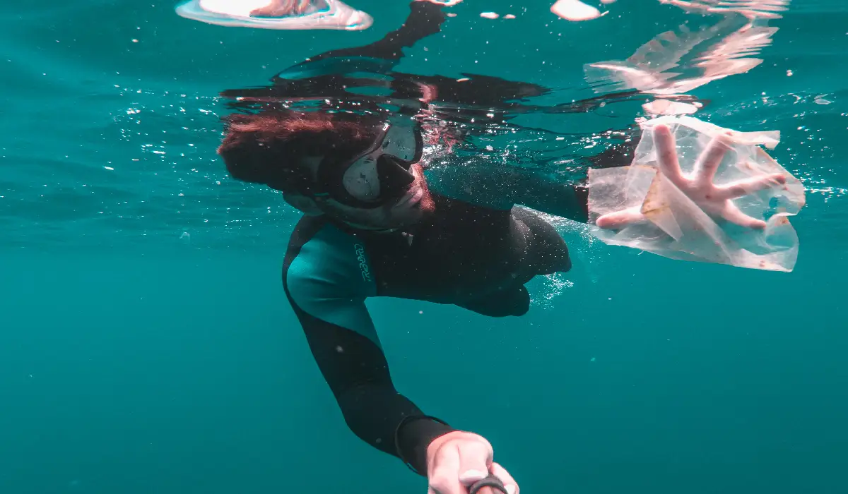 Microplastics in Marine Environment | typinks